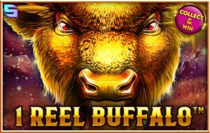 1 Reel Buffalo