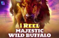 1 Reel — Majestic Wild Buffalo logo