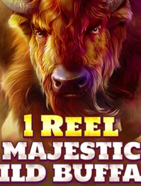 1 Reel — Majestic Wild Buffalo