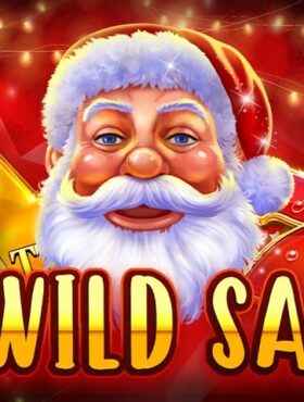 10 Wild Santa