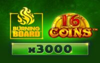 16 Coins Burning Board logo