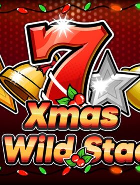 27 Wild Stacks Xmas