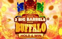 3 Big Barrels Buffalo logo