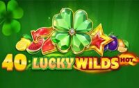 40 Lucky Wilds Hot logo