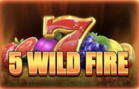 5 Wild Fire logo