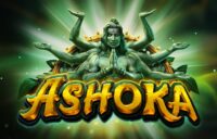 Ashoka logo
