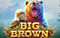 Big Brown logo
