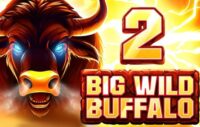 Big Wild Buffalo 2 logo