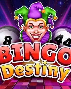 Bingo Destiny