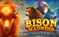 Bison Madness PrizeTower logo