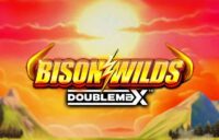 Bison Wilds DoubleMax logo