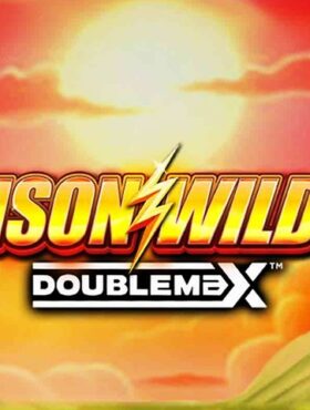 Bison Wilds DoubleMax