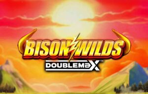 Bison Wilds DoubleMax