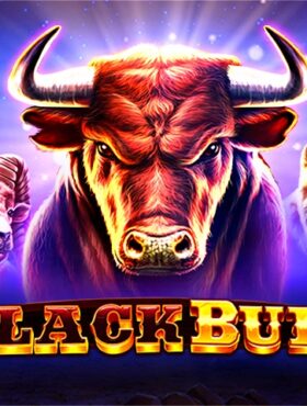 Black Bull