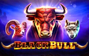 Black Bull