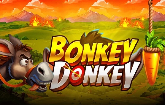 Bonkey Donkey