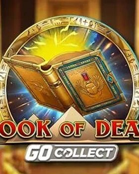 Book of Dead GO Collect