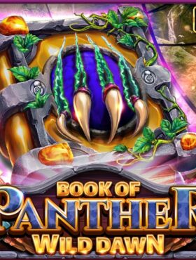 Book Of Panther — Wild Dawn