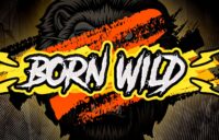 Born Wild logo