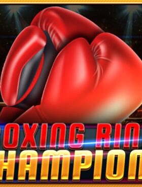 Boxing Ring Champions