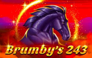 Brumby’s 243