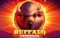 Buffalo Cash Pool logo