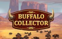 Buffalo Collector logo