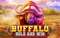 Buffalo Hold and Win logo