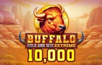 Buffalo Hold and Win Extreme 10,000 logo