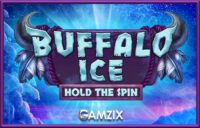 Buffalo Ice: Hold The Spin logo