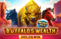 Buffalo’s Wealth Hold and Win logo