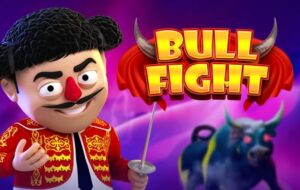 Bull Fight