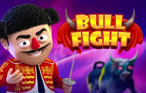 Bull Fight