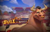 Bull in a Rodeo logo
