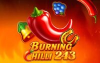 Burning Chilli 243 logo