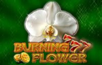Burning Flower logo