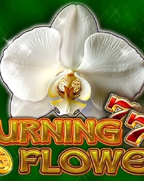 Burning Flower