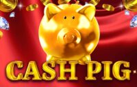 Cash Pig logo