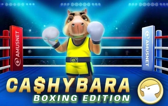 Cashybara Boxing Edition