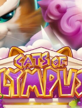 Cats Of Olympuss