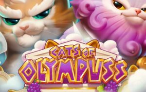 Cats Of Olympuss
