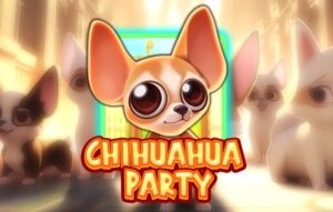 Chihuahua Party