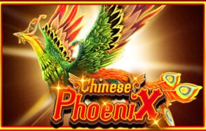 Chinese Phoenix