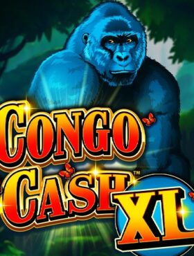 Congo Cash XL