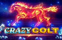 Crazy Colt logo