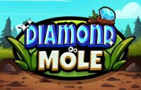 Diamond Mole logo