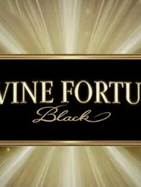Divine Fortune Black