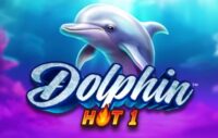 Dolphin Hot 1 logo