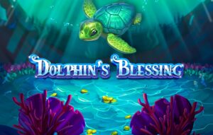Dolphins Blessing