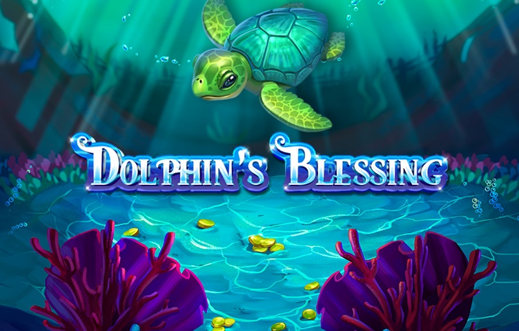 Dolphins Blessing